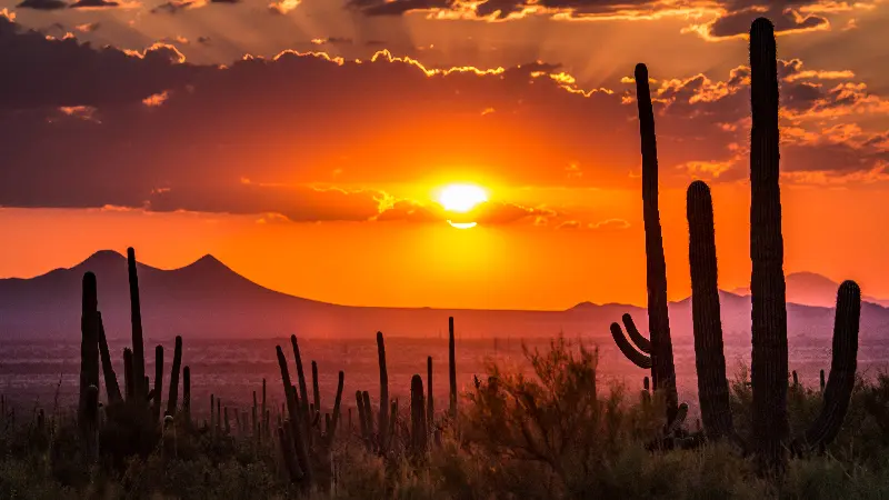 Sun setting in Scottsdale desert