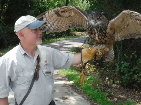 A man holding an owl at the falconry class at The Greenbrier